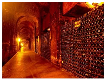 A day in Champagne - Image 5