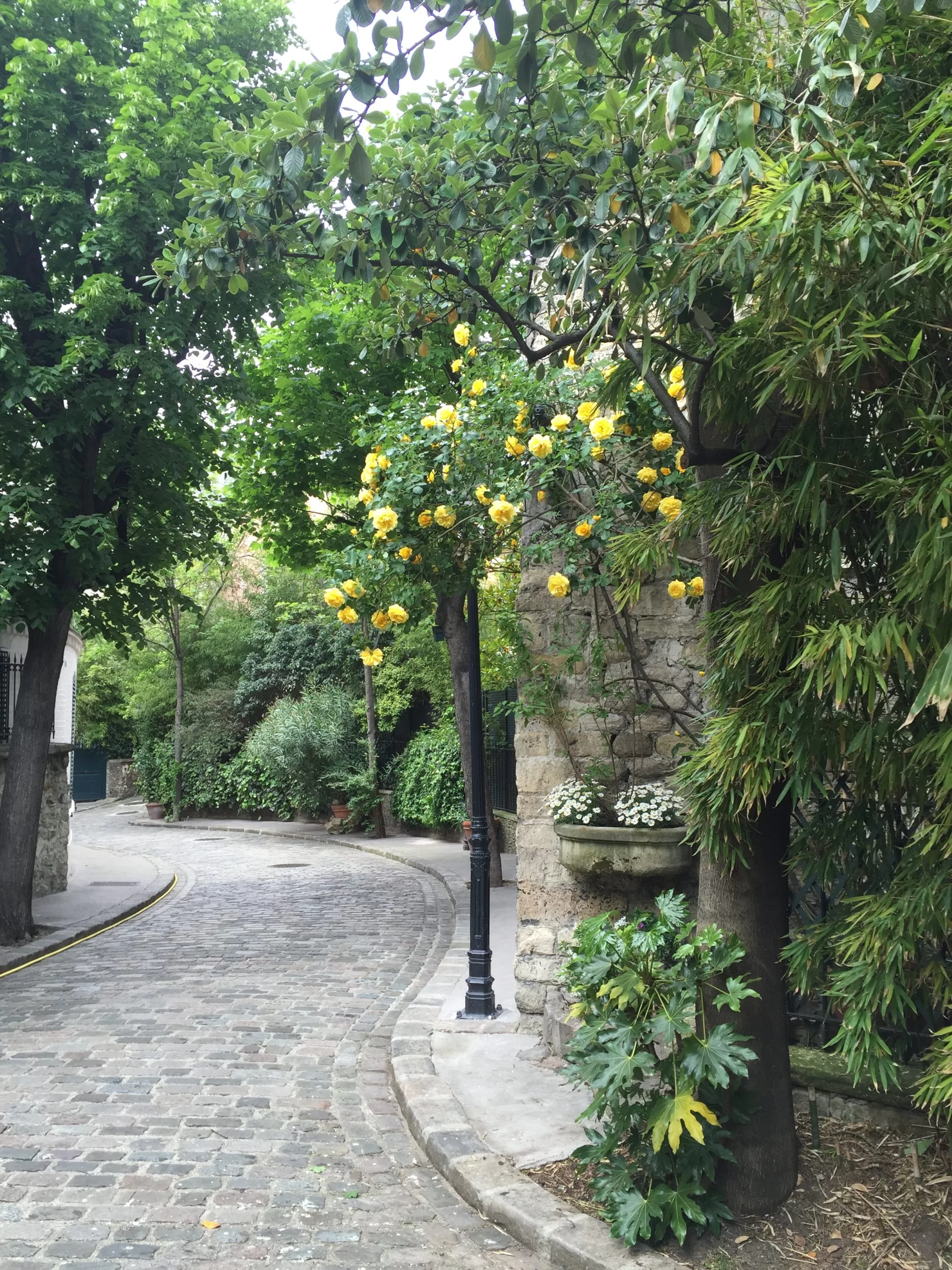 La Nouvelle Athènes – Image 4